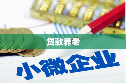 普宁贷款养老
