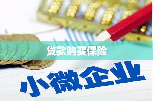 普宁贷款购买保险