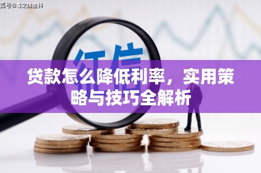 普宁贷款怎么降低利率，实用策略与技巧全解析