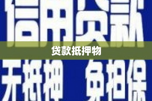 普宁贷款抵押物