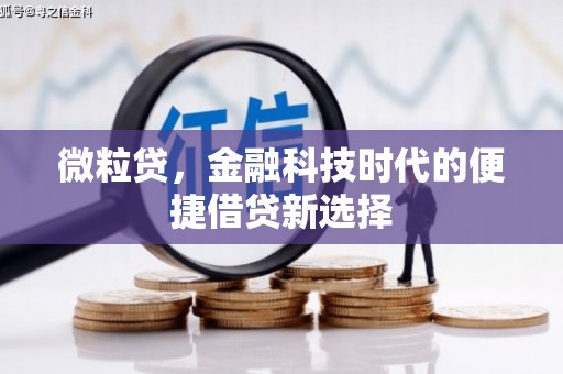 普宁微粒贷，金融科技时代的便捷借贷新选择