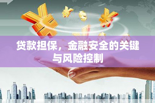 普宁贷款担保，金融安全的关键与风险控制