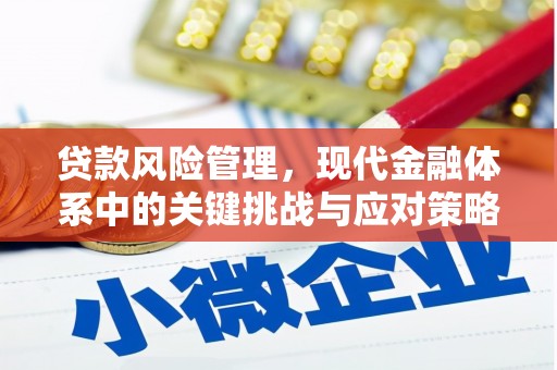 普宁贷款风险管理，现代金融体系中的关键挑战与应对策略