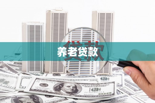 普宁养老贷款
