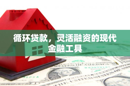 普宁循环贷款，灵活融资的现代金融工具