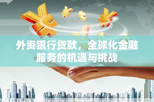 普宁外资银行贷款，全球化金融服务的机遇与挑战