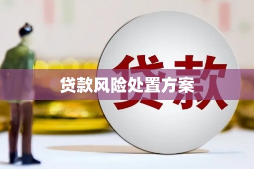 普宁贷款风险处置方案