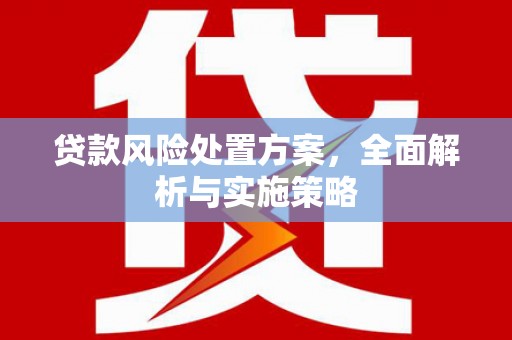 普宁贷款风险处置方案，全面解析与实施策略